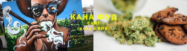 мдпв Горнозаводск