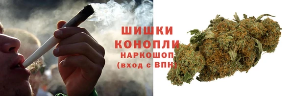 мдпв Горнозаводск