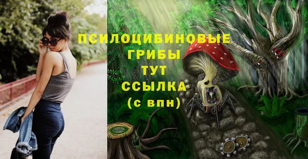 дмт Горняк