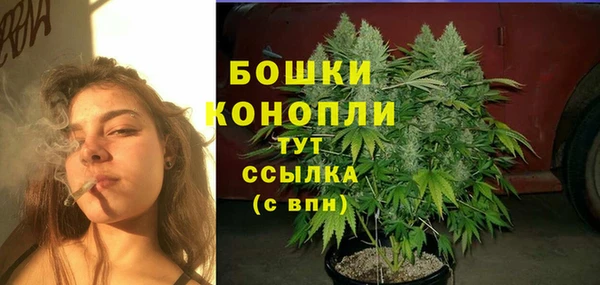 мдпв Горнозаводск