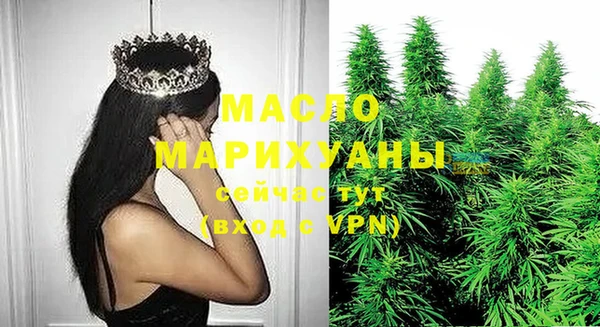 дмт Горняк