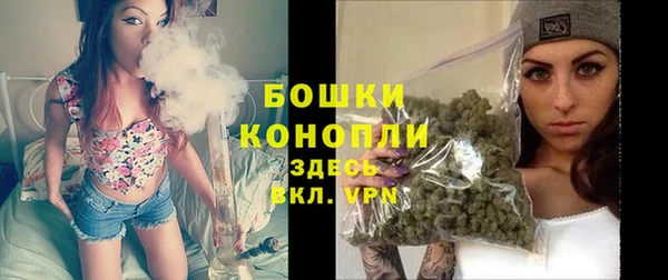 дмт Горняк