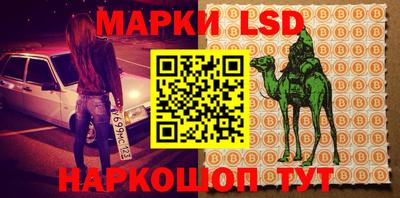 гашик Волгодонск