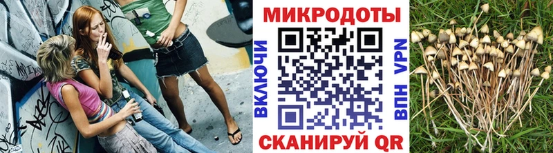 Галлюциногенные грибы Psilocybine cubensis хочу Десногорск