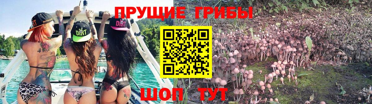 Галлюциногенные грибы прущие грибы Десногорск