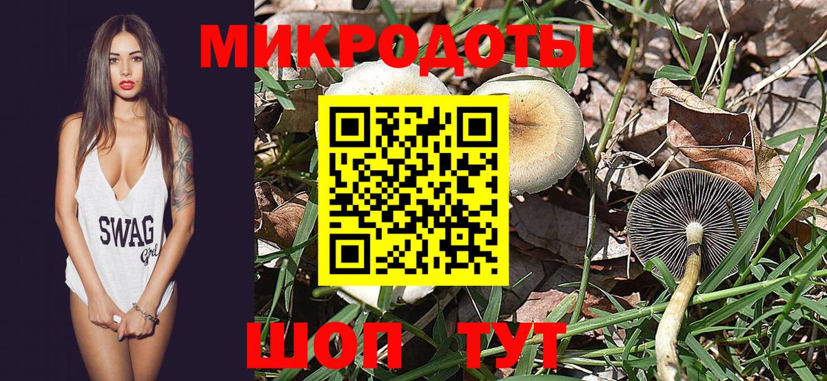 Галлюциногенные грибы GOLDEN TEACHER  Псилоцибиновые грибы мицелий  Десногорск 